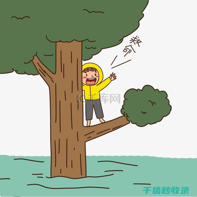 洪水秘方
