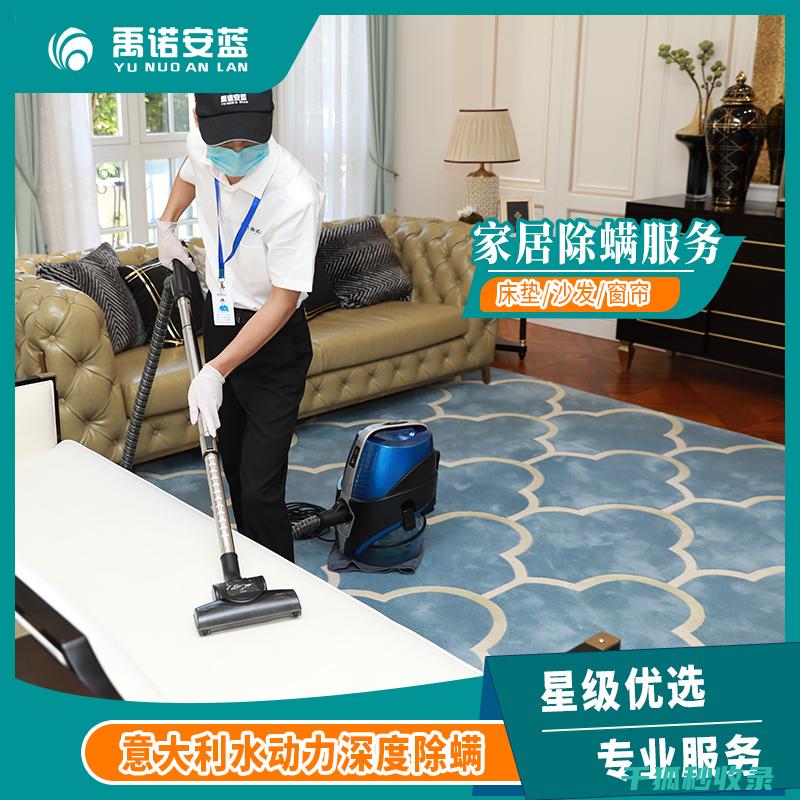 地毯除螨全面解析：高效去除家中螨虫 (地毯除螨全面清洗方法)