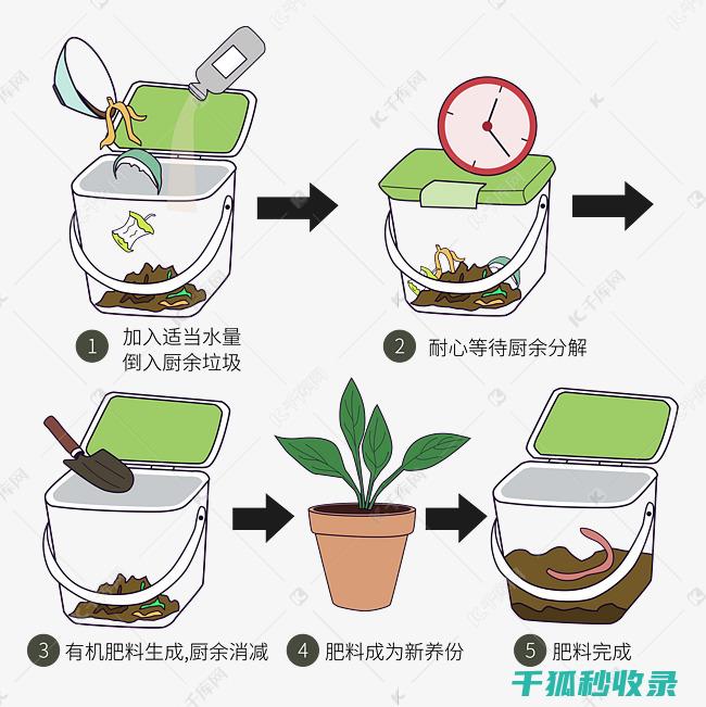 厨余堆肥：从 (厨余堆肥的肥力)