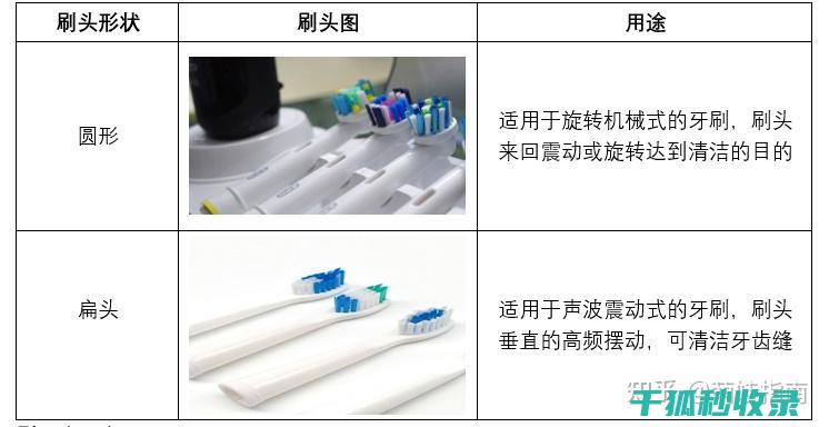 牙刷更换周期：不同材质牙刷的更换建议 (牙刷更换周期多久)