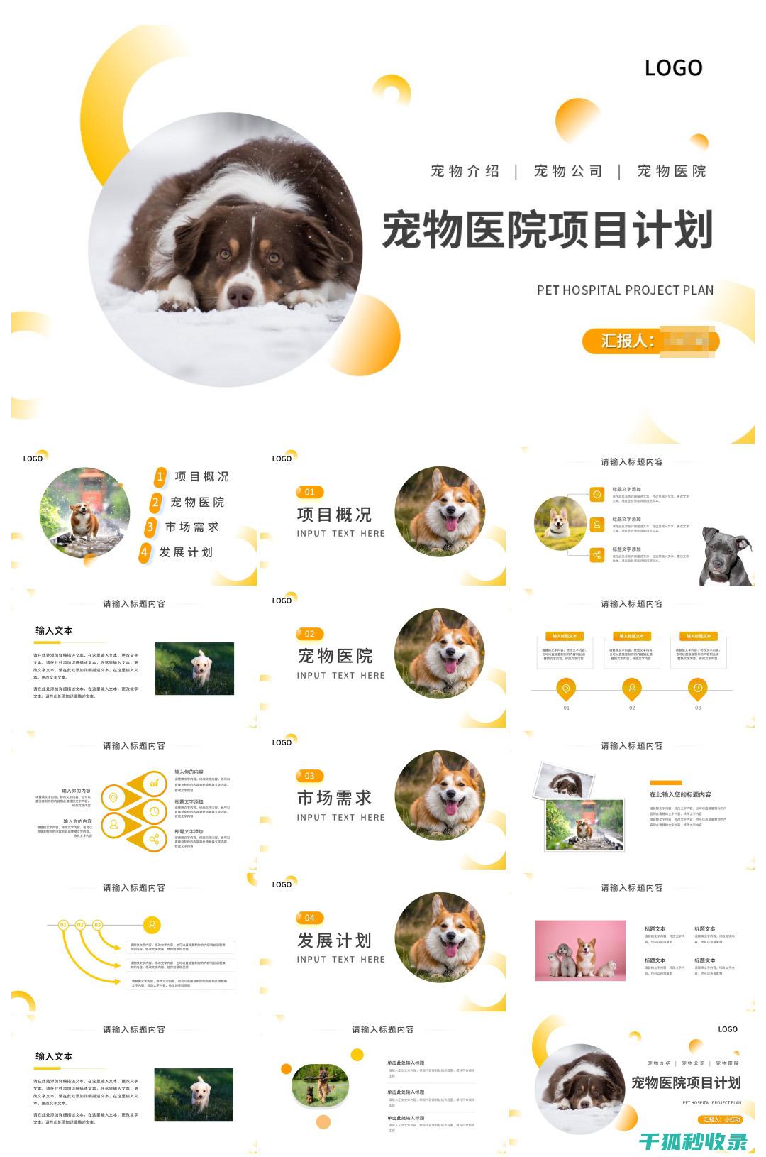 宠物驱虫周期
