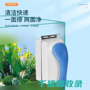 水族箱清洁技巧：如何安全清洗过滤器 (水族箱清洁技术要求)
