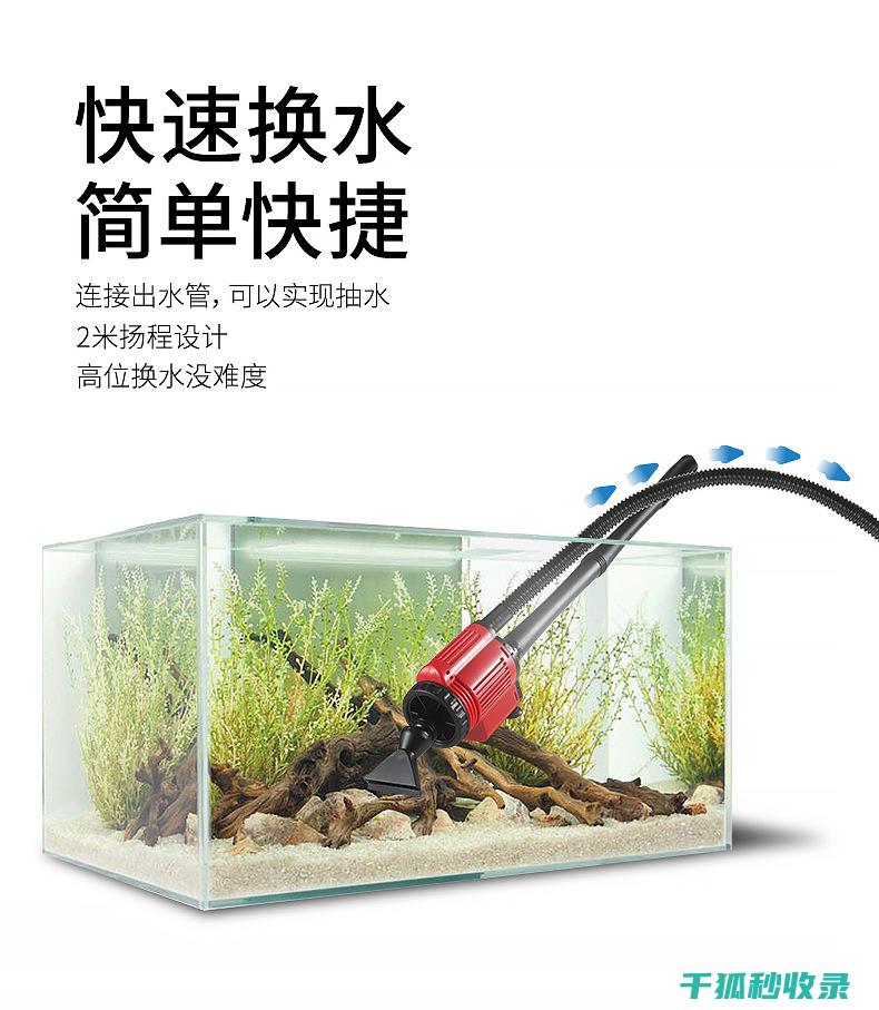 水族箱清洁技巧：如何安全清理水底杂物 (水族箱清洁技术要求)