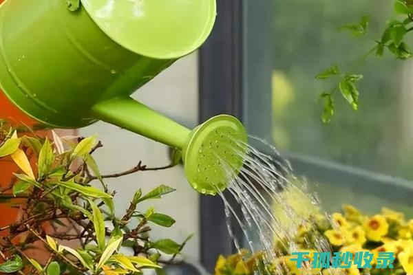 花卉施肥时机与肥料的释放速率