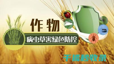 植物病虫害防治