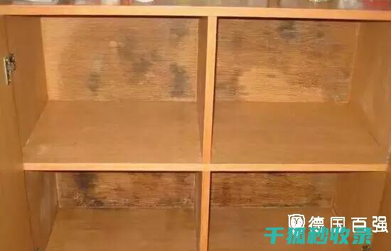 防止衣柜发霉，这些方法你得知道 (防止衣柜发霉小妙招)