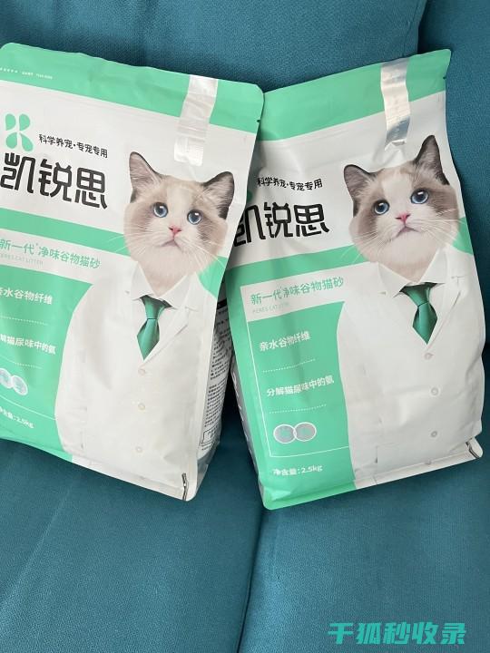 猫砂除臭新观念：从被动接受到主动管理的转变 (猫砂除臭效果)
