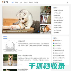 有爱的宠物狗宠物猫品种养护