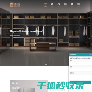 智能家居品牌