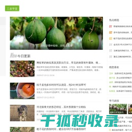 农宝典